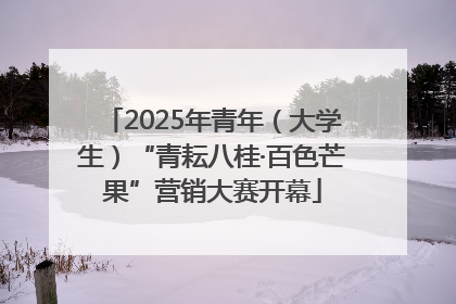 2025年青年（大学生）“青耘八桂·百色芒果”营销大赛开幕