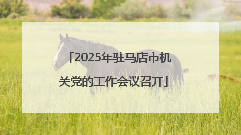 2025年驻马店市机关党的工作会议召开