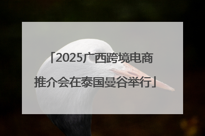 2025广西跨境电商推介会在泰国曼谷举行