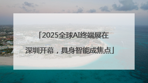 2025全球AI终端展在深圳开幕，具身智能成焦点