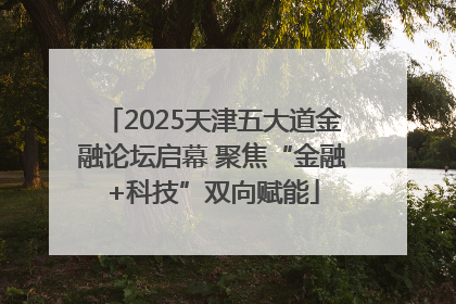 2025天津五大道金融论坛启幕 聚焦“金融+科技”双向赋能