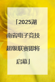 2025湖南省电子竞技超级联赛即将启幕