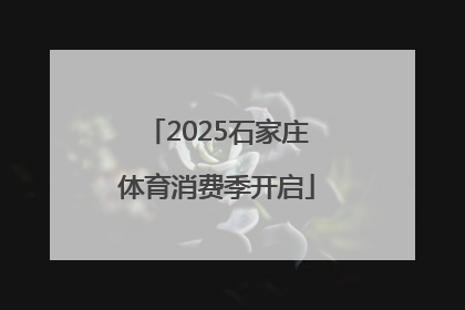 2025石家庄体育消费季开启