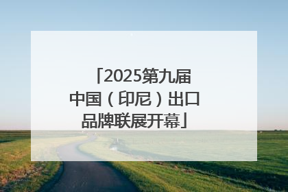 2025第九届中国（印尼）出口品牌联展开幕