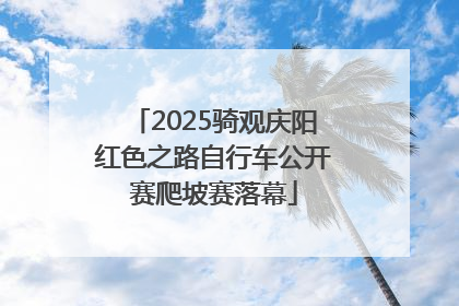 2025骑观庆阳红色之路自行车公开赛爬坡赛落幕