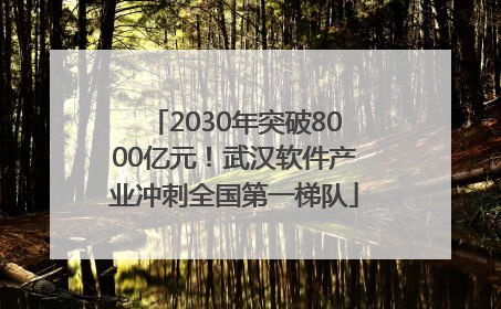 2030年突破8000亿元！武汉软件产业冲刺全国第一梯队