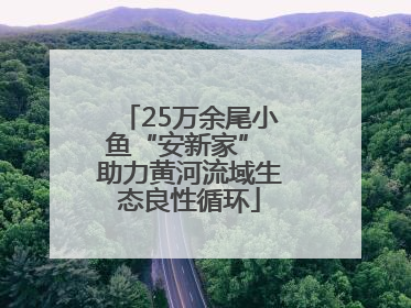 25万余尾小鱼“安新家” 助力黄河流域生态良性循环