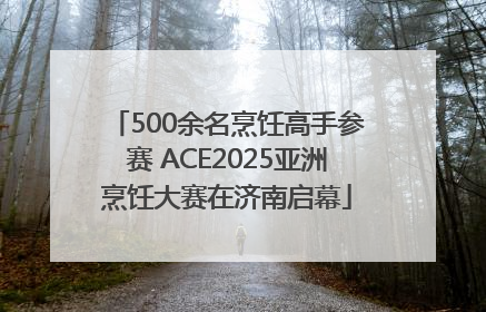 500余名烹饪高手参赛 ACE2025亚洲烹饪大赛在济南启幕