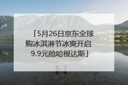 5月26日京东全球购冰淇淋节冰爽开启 9.9元抢哈根达斯