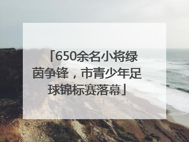 650余名小将绿茵争锋，市青少年足球锦标赛落幕