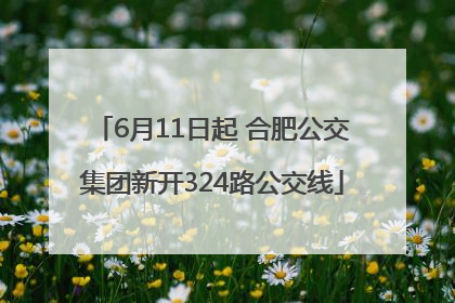 6月11日起 合肥公交集团新开324路公交线
