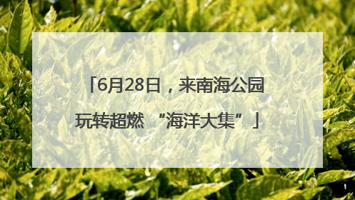 6月28日，来南海公园玩转超燃 “海洋大集”