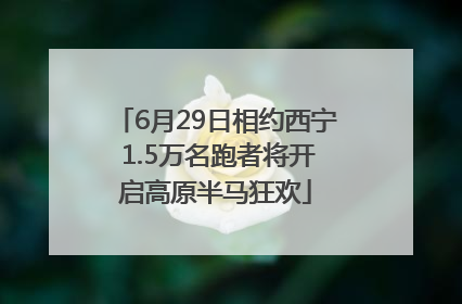 6月29日相约西宁 1.5万名跑者将开启高原半马狂欢
