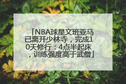 NBA球星文班亚马已离开少林寺，完成10天修行：4点半起床，训练强度高于武僧