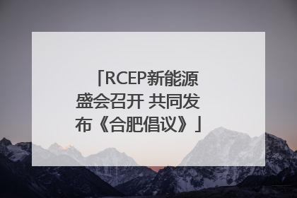 RCEP新能源盛会召开 共同发布《合肥倡议》